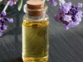 We sell bio lavender oil , harvest 2019.