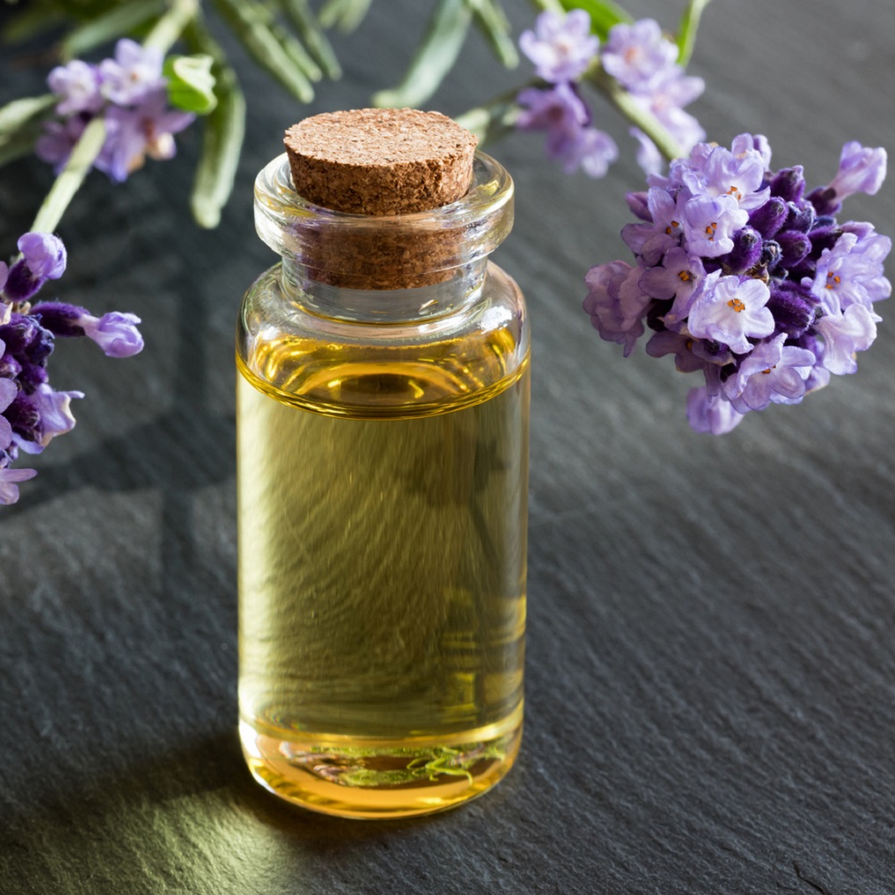 We sell bio lavender oil , harvest 2019