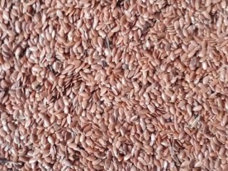 Selling flax, purity 98%, no pesticides, no GMOs
