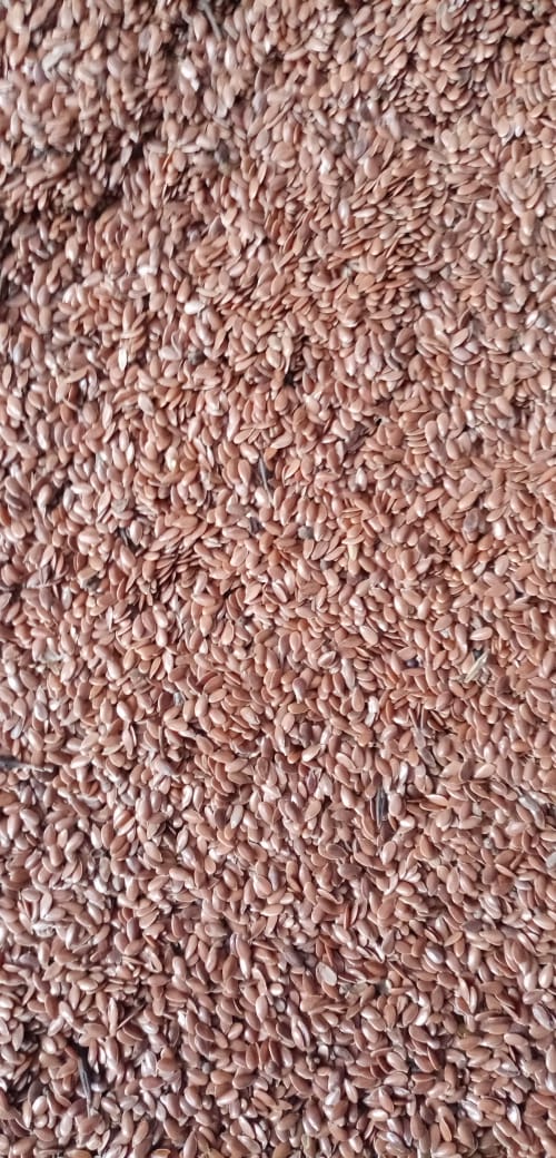 Selling flax, purity 98%, no pesticides, no GMOs