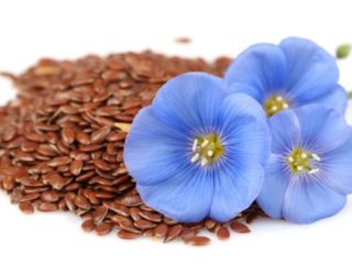 Good day. We sell flax for export to Europe.