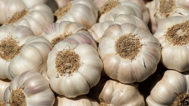 Quick Details Type: Garlic Product Type: Liliaceous Vegetabless Style: Fresh Size (cm): 5.5 Certification: HACCP SGS Weight (kg): 0.05 Place of Origin: