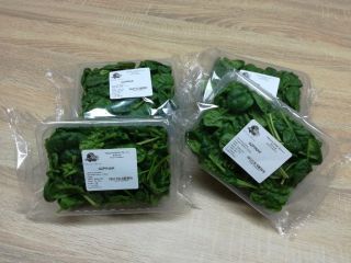 Hello, I have for sale fresh spinach packed in