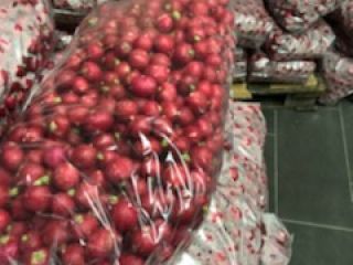 I will sell a radish. Without leaves, clean, packed