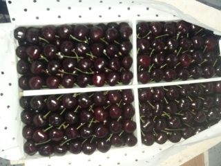 we supply fruits all around the world. we can