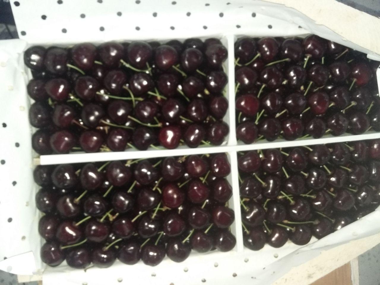 we supply fruits all around the world