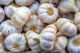Fresh Normal White Garlic Variety: (Normal white garlic also named red garlic, purple garlic.) Features: Size: 4.5 - 5.0cm, 5.0 - 5.5cm, 5.5 - 6.0cm, 6.0
