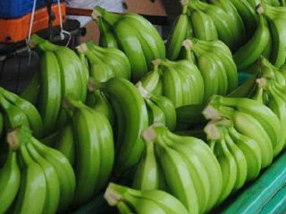 Świeży banan Cavendish Eksportujemy banan Cavendish na cały świat