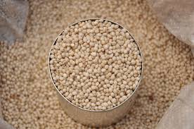 Organic Sorghum seed/ grains
