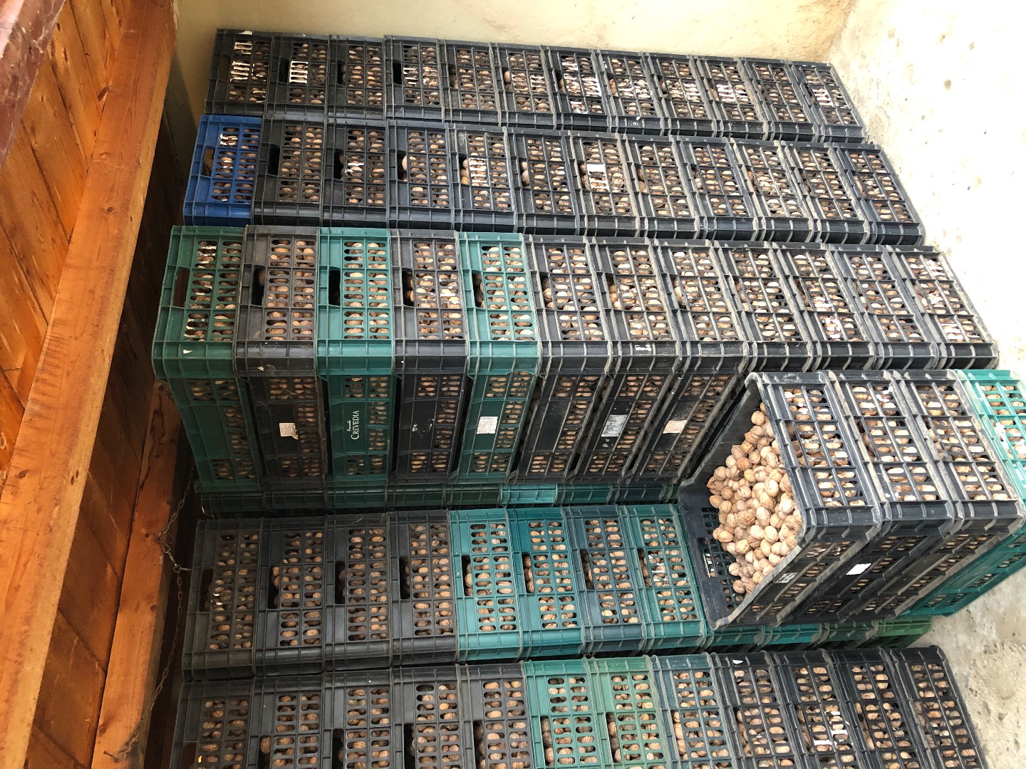 We sell nuts, ECOLOGIC certified, own production 2019, 100% Romanian varieties