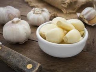 Garlic plant for cooking and also serves as medication