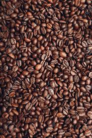 Coffee seedlings for secondary production and also for farmers