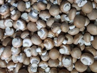 I will sell brown mushrooms, oyster mushroom and shitake