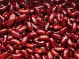 High Quality Bulk Dried Red Kidney Beans for Sale