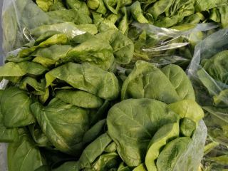 FOR SALE SPANAC Romanian, in large quantities.