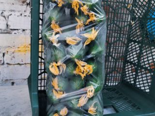 Melen greenhouse cucumbers for sale, 5kg packets. Possible delivery