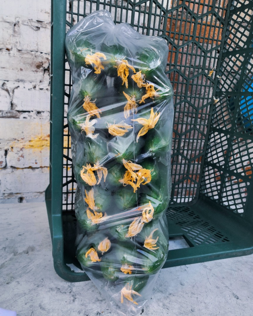Melen greenhouse cucumbers for sale, 5kg packets