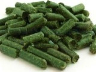 Alfalfa alfalfa - 1050 PLN / tonne. Freshly cut