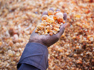 Greeting from Arabic Gum Suppliers LLC We are Trading,