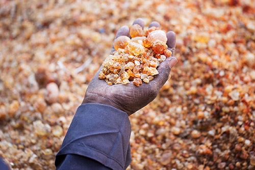 Greeting from Arabic Gum Suppliers LLC We are Trading, Export and Import Co based in UAE