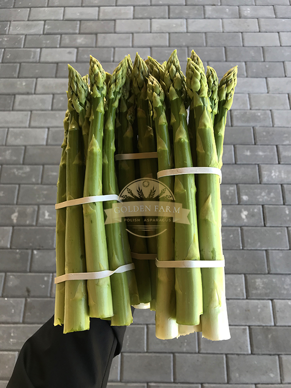 Ladies and Gentlemen, the Polish producer cordially invites you to cooperate and buy white and green asparagus in wholesale quantities