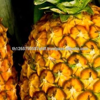 Pineapples are sweet, juicy fruit found tropically