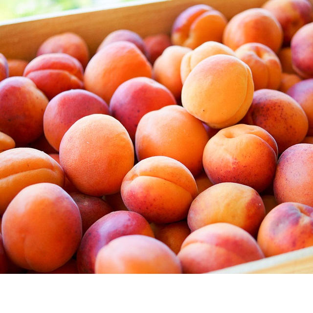 Fresh Apricots Whether you eat it dried, or fresh, apricots are a good source of dietary fiber