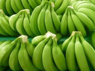 Green Cavendish Banana Cavendish bananas are the fruits of