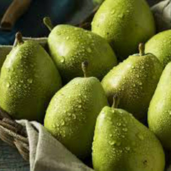 Fresh and frozen pears contact directly, What'sapp: email