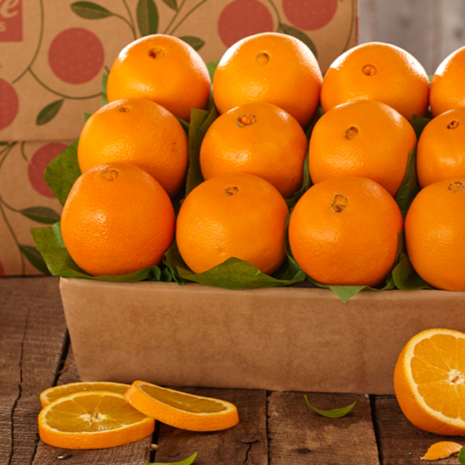 Fresh ORANGE Fruits contact directly, What'sapp: email