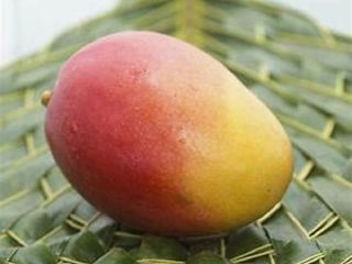 high quality fresh mango, contact directly, What'sapp: email