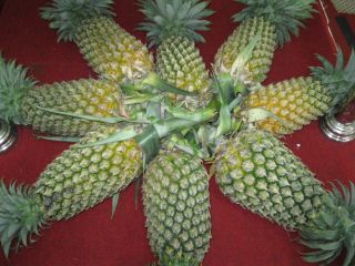 Fresh pineapple Fruits please contact directly, What'sapp: email