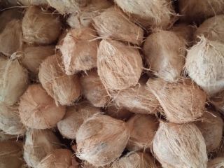Fresh White Garlic Please contact directly, Email
