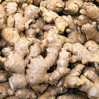 Fresh Organic Ginger Please contact directly, Email