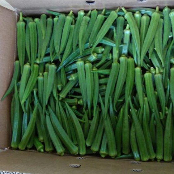Premium Quality Okra Please contact directly, Email
