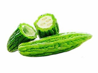 Momordica Charantia also called Bitter Melon, Bitter Gourd, Ampalaya,