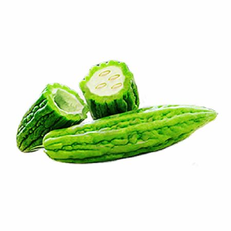 Momordica Charantia also called Bitter Melon, Bitter Gourd, Ampalaya, Balsambirne, Margose, Sopropo, Pepino amaro, Zucca amara, or Bitteragurk