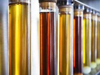 I will sell rapeseed oil with phosphorus content up