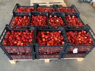 We will sell strawberries. Strawberry cleaned or with stalks.