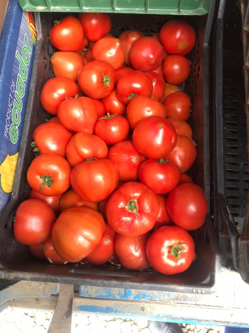 Tomatoes DIRECTLY FROM A MANUFACTURER IN ALBANIA! Sensational taste and smell !!! order min