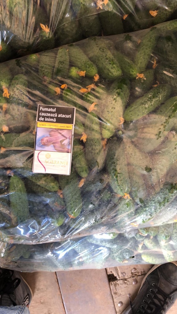 România company sell cucumbers caliber 7-13 cm , in 25 kg bags