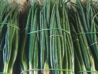 Winter onion, tied with 4-5 pieces, chives without blemishes,