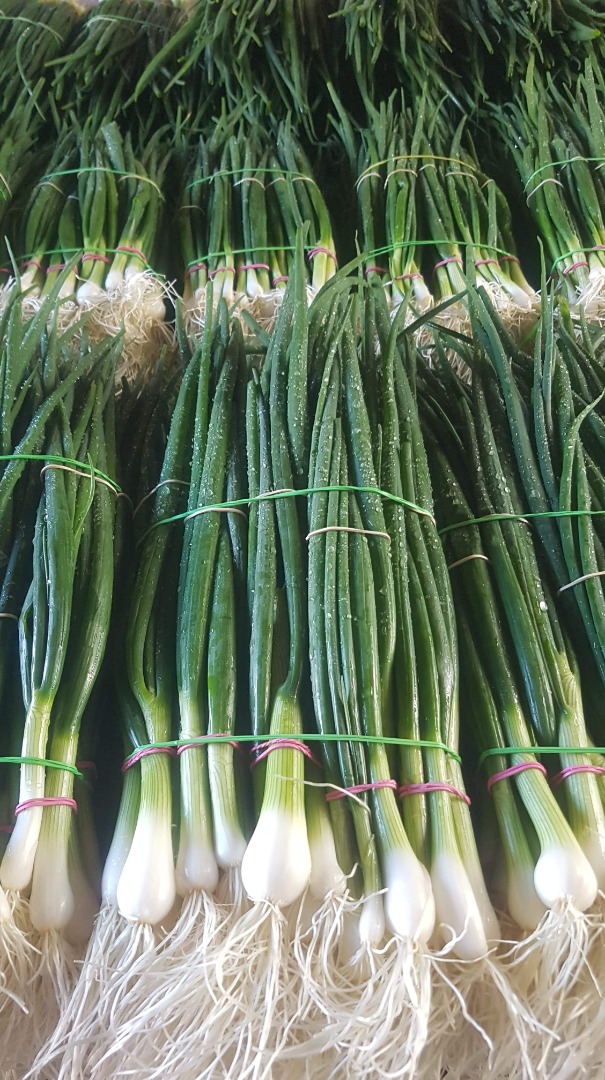 Winter onion, tied with 4-5 pieces, chives without blemishes, tunneled