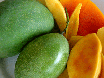 Fresh Mango Mango is king of fruits and we