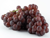 Fresh Grapes The most comprehensive range of fresh Grapes