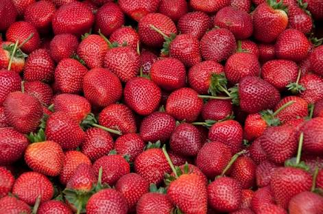 Fresh water melon and strawberries from the farm at affordable prices