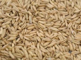 We sell oats, barley, wheat and other types of