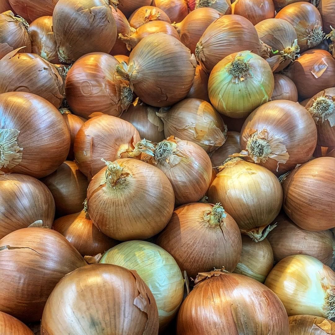 we have fresh harvest of red and yellow onion available for sale Caliber :55+ please contact directly, call, text or email