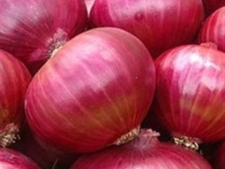 we have fresh harvest of red and yellow onion,
