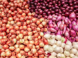 Product Type: Liliaceous Vegetabless Type: Onion Style: Fresh Cultivation